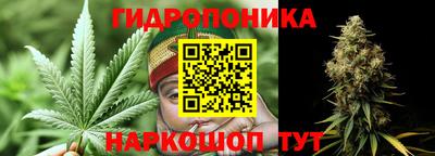 эйфоретик Анжеро-Судженск