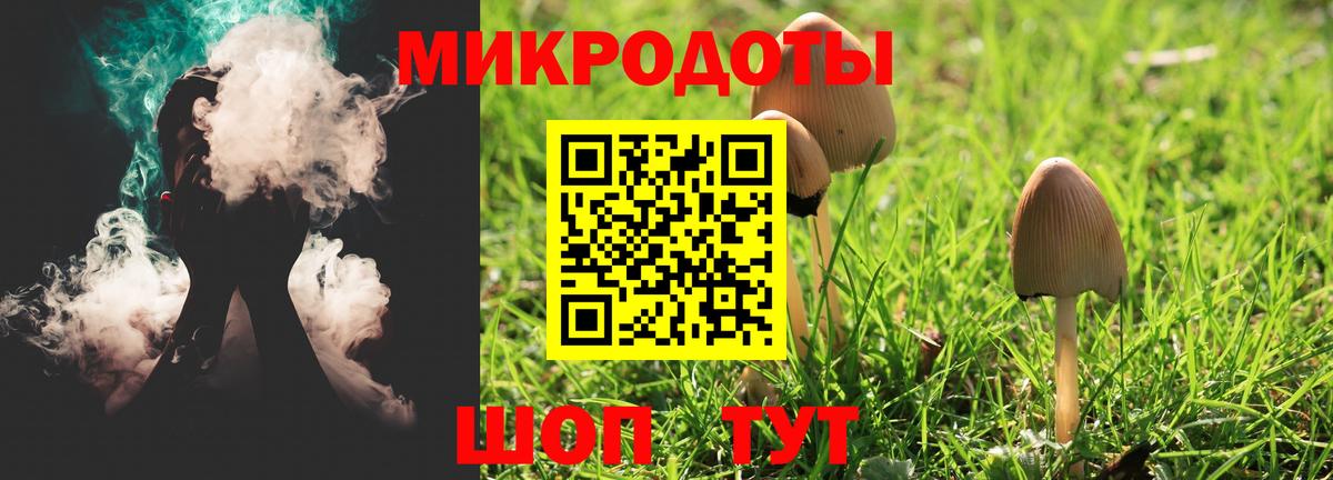 Псилоцибиновые грибы мухоморы Камышин