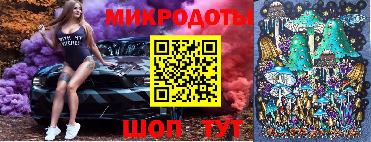 Псилоцибиновые грибы Psilocybine cubensis  Вход с VPN  Камышин 